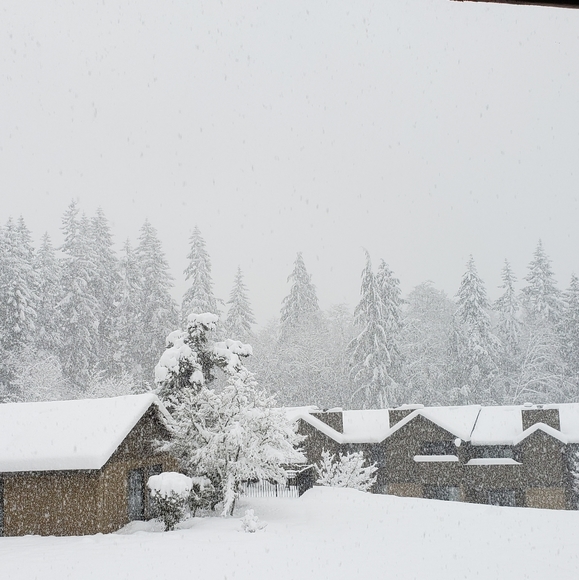 Meet your Posher, Bev - Picture 7 of 11